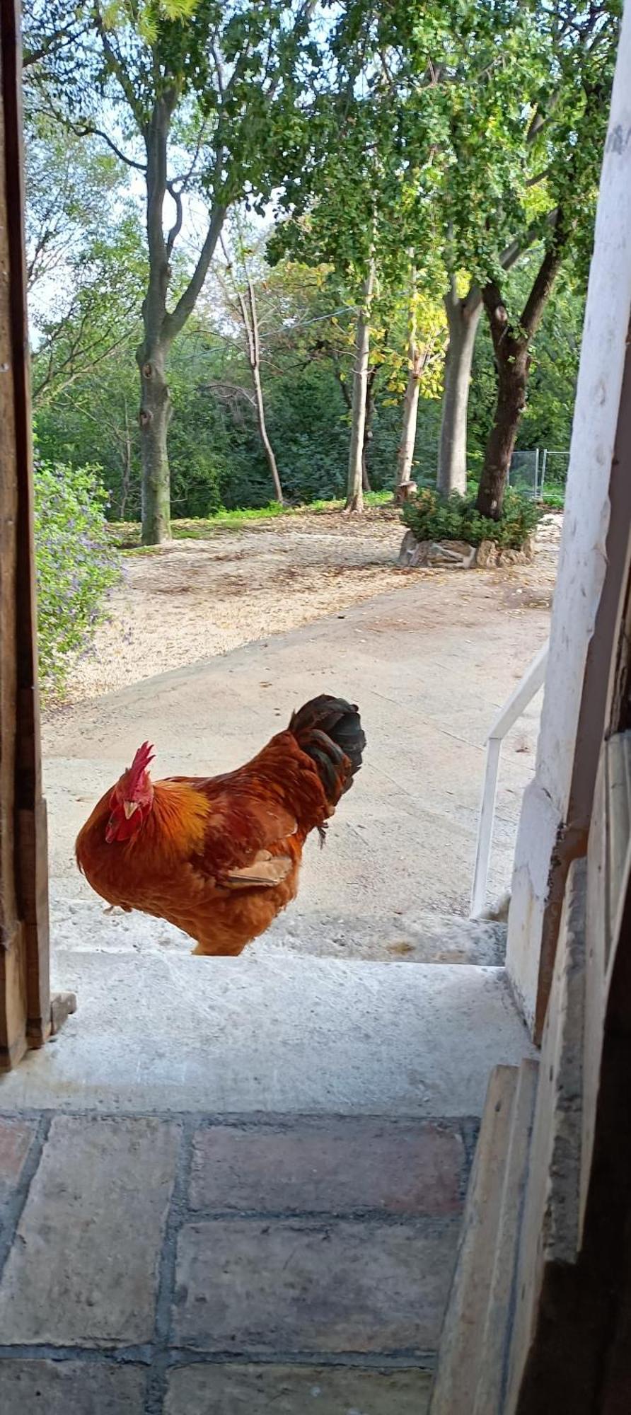 Azienda Agrituristica La Torretta Tocco da Casauria Bagian luar foto